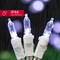 100 Count Mini LED White String Lights, 21.6FT Indoor/Outdoor Christmas Lights with Green Wire, Connectable Warm White LED Mini Lights for Home, Holiday, Party, Wedding & Seasonal Decorations (100 Mini LED White Wire Cool White)